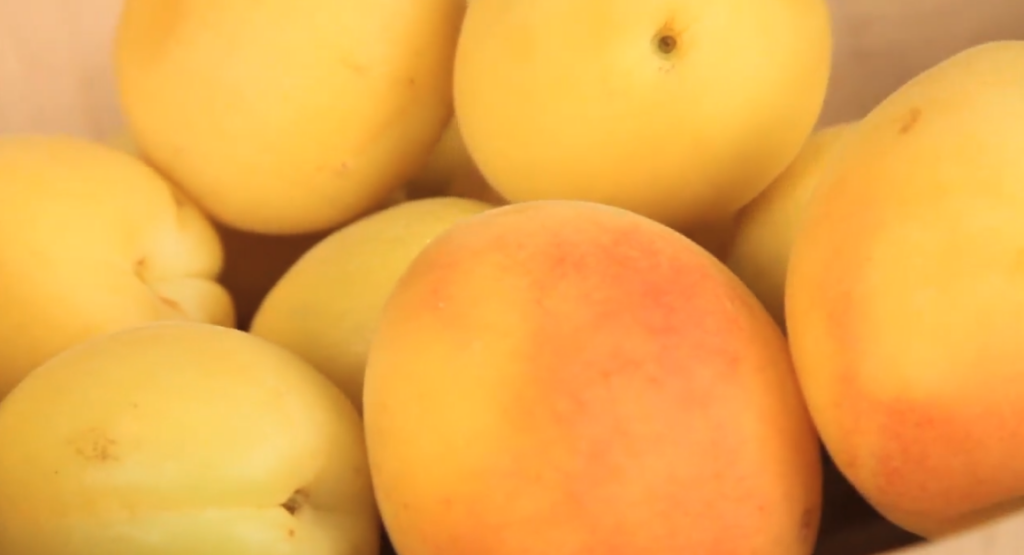Get them while you can: Angelcots aim for higher 2028 yields